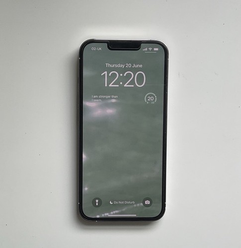 Apple iPhone 13 Pro 256GB SILVER - Excellent Condition, Unlocked, Fast shipping✅ - Afbeelding 5 van 7