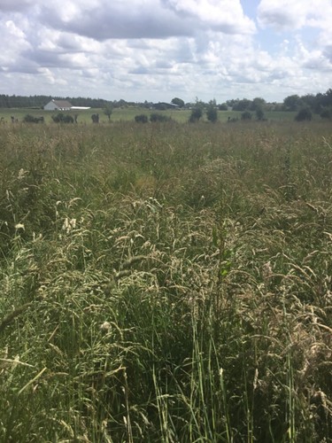 *PROJECT* - Property for sale in Ireland with 1 acre of land - Picture 9 of 18