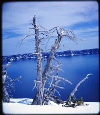 Crater Lake scenic view - 1952 Stereo Realist 3D slide Kodachrome #784
