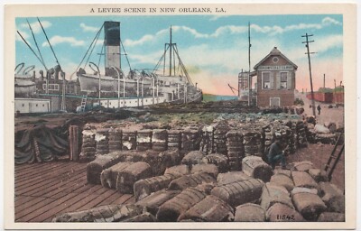 Levee Scene Docks New Orleans Louisiana Unposted Antique Postcard