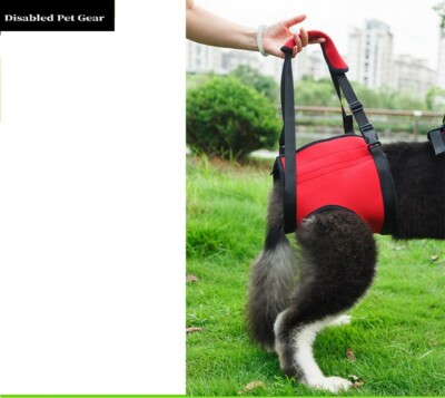 Rear Dog Support Lift or Rehabilitation Harness, See Description, USA Seller