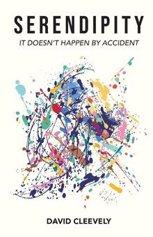 Serendipity: It Doesnt Happen by Accident von Clee... | Buch | Zustand sehr gut