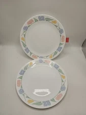 Corelle "Friendship" 10 1/4 Inch Dinner Plate-Set of 2