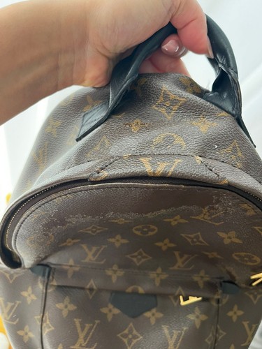 Louis Vuitton Palm Springs Backpack MM Brown Canvas Monogram - 第 18/21 張圖片