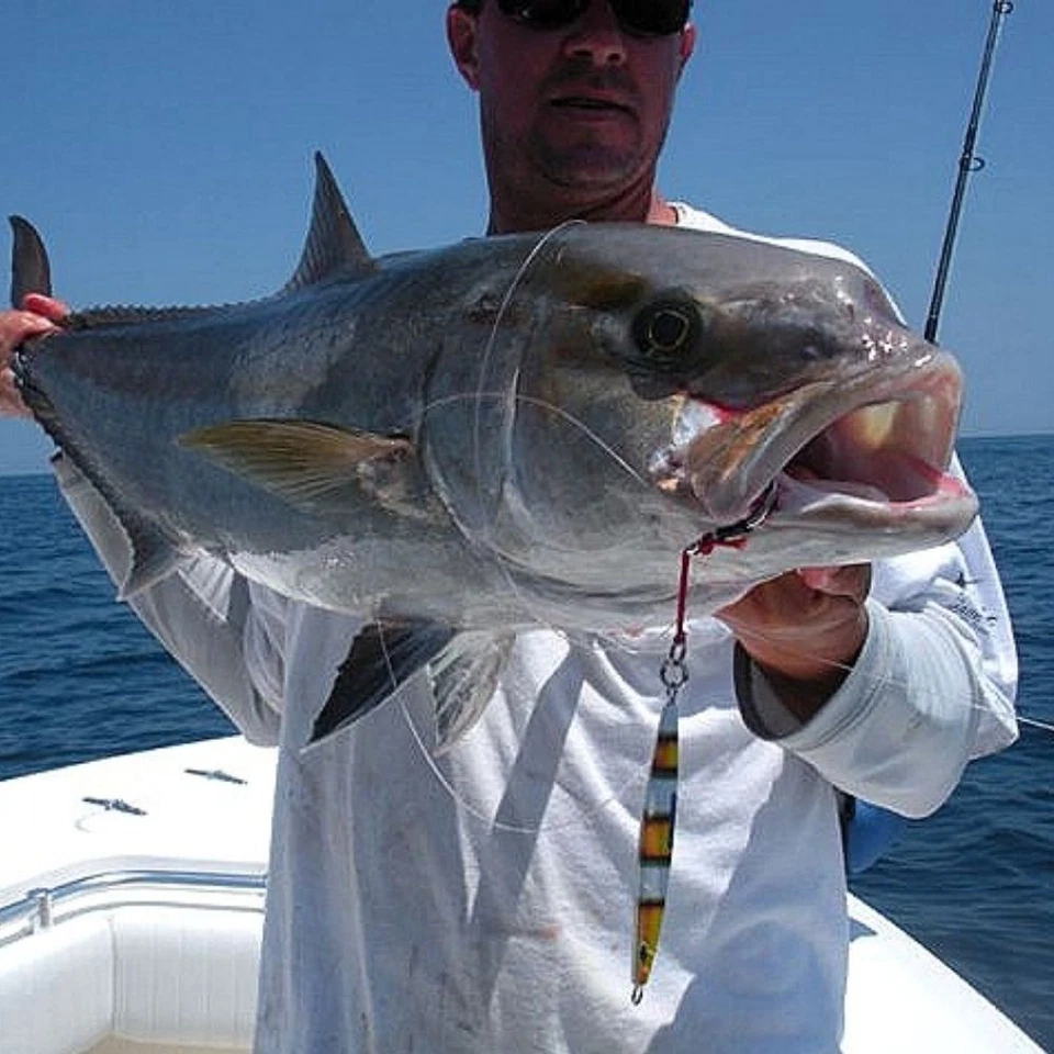 Señuelo de pesca JIGSKINZ cubierta retráctil envoltura NEMO tamaños mixtos/8 un. Foto 3 de 4