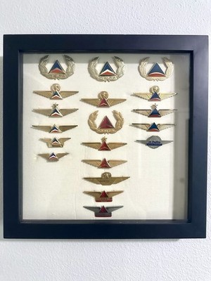 Delta Airlines Crew Wings Collection-1970 s- Present