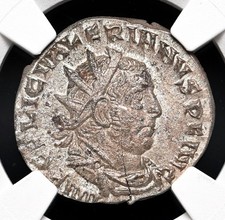  on The Hot Collector