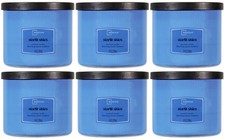 6 Mainstays STARLIT SKIES Large 3-Wick Scented Candle 14oz