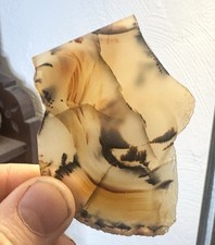 Cool Old Stock Montana Moss Agate Slab A Grandpa&rsquo;s collection 1960&rsquo;s
