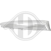 1X Zier /Schutzleiste StoßFäNger Diederichs 3405162 FüR Fiat Vorne Rechts
