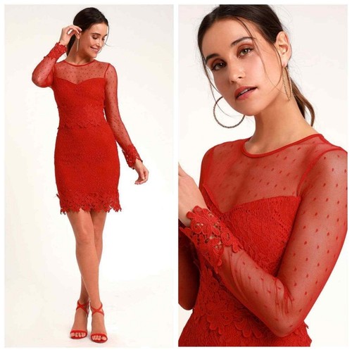 Long Sleeve Mesh Bodycon Dress Size 