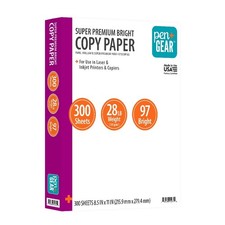 Premium Bright White Printer Paper, 8.5" x 11", 28 lb/105 Gsm, 1 Ream 300