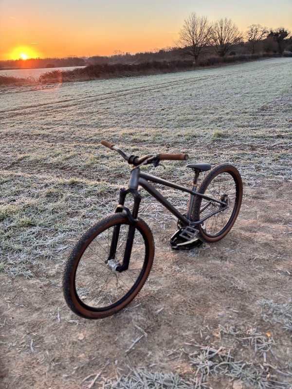 Commencal Absolut Al DJ Custom Mountain Bike Tire