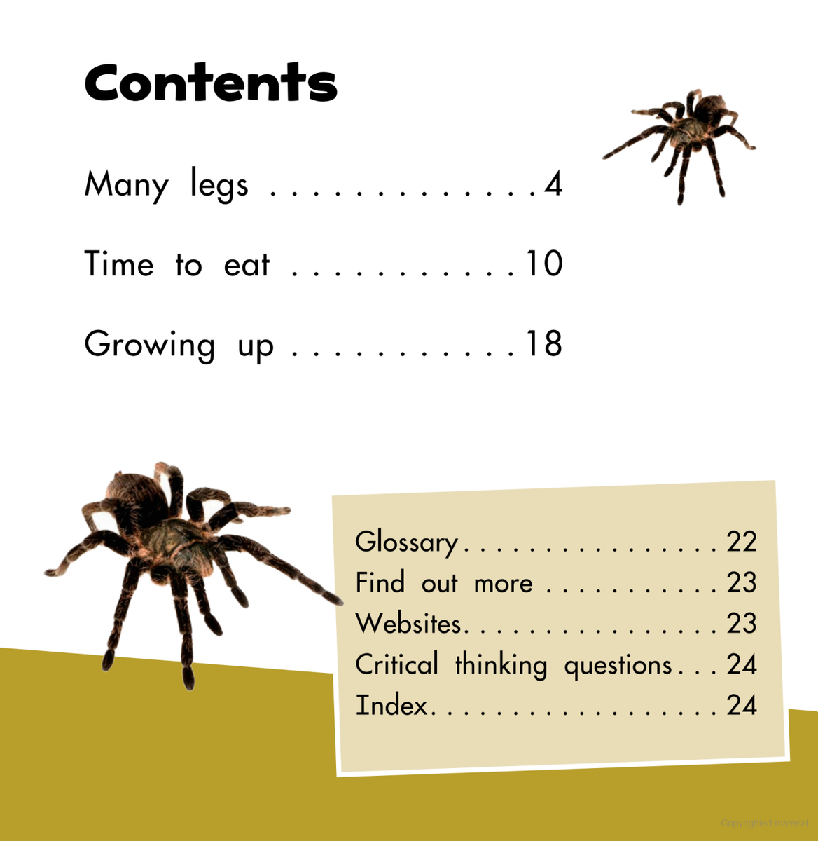 Spiders Book Children's Facts Learning age 4+ Mari Schuh New