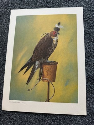 VINTAGE DRUCK EINES SAKER FALKEN AUF EINEM STÄNDER - 13'' x 9,5''