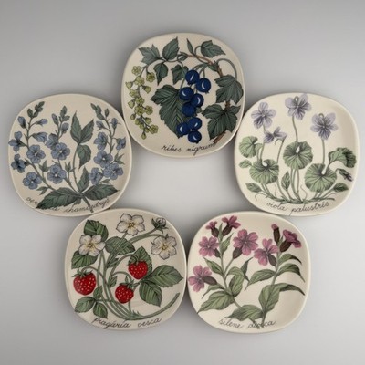 Set of 5 Vintage Arabia Finland Esteri Tomula Mini Botanical Wall Plates