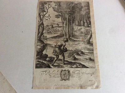 "Bienen einfangen" ,Kupferstich von Wenceslaus Hollar ca 1655 RNT - Bild 1 von 3