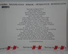 Bild 9 von 9