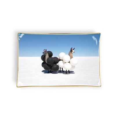 Galison Gray Malin Llamas Porcelain Tray