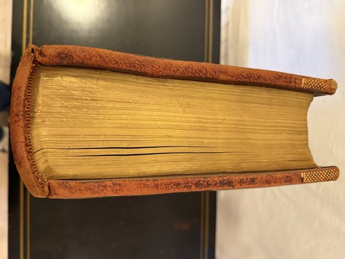 Antique Douay Rheims Holy Bible - Picture 9 of 17