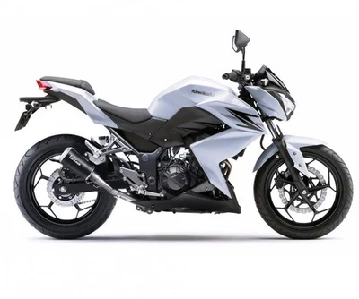 Silencieux slip-on LeoVince LV-10 BLACK Non hom E3 KAWASAKI Z 250 2015 2016 - Photo 1/4