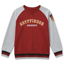 Harry Potter Gryffindor Embroidered Sweatshirt for Youth - Unisex Crewneck