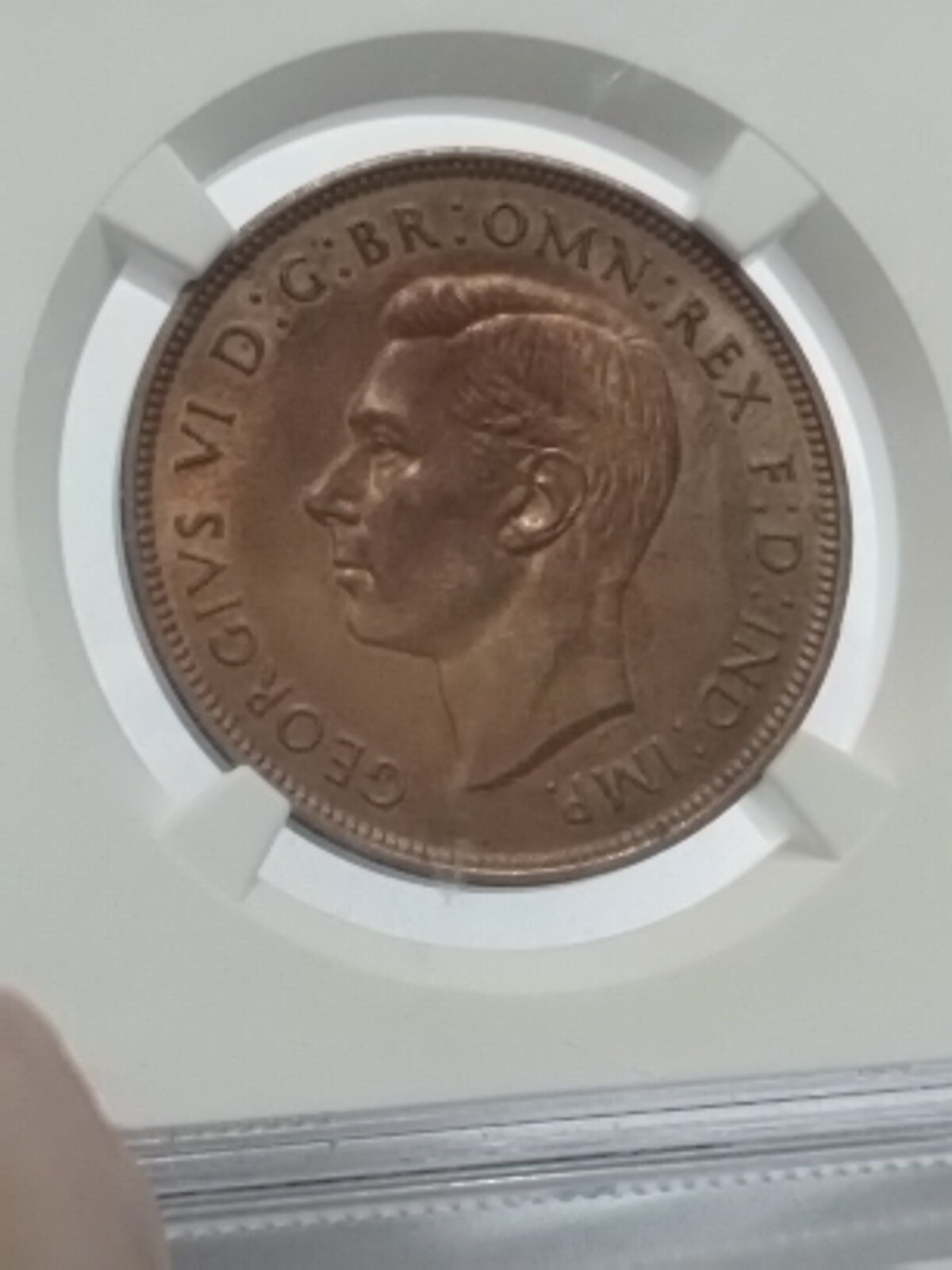 Picture 4 of 19