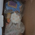 Bild 6 von 15