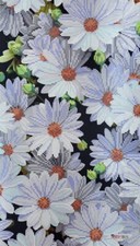 Bead Embroidery Kit DIY Craft Kit stamped Bead Chamomile Paradise ta-408