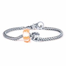 Bracciale Trollbeads in Argento TAGBO-01426