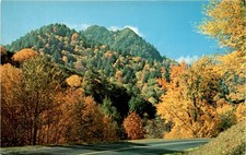 GS-373, Chimney Tops, Fall Colors, Highway U. S. 441, Sm Postcard