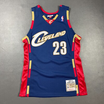 lebron mitchell and ness
