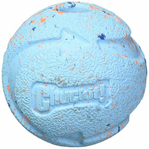 chuckit rebounce ball