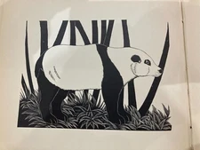 1928 AWESOME B&W etching: THE GREAT PANDA mammal Genuine vintage NOT REPRO
