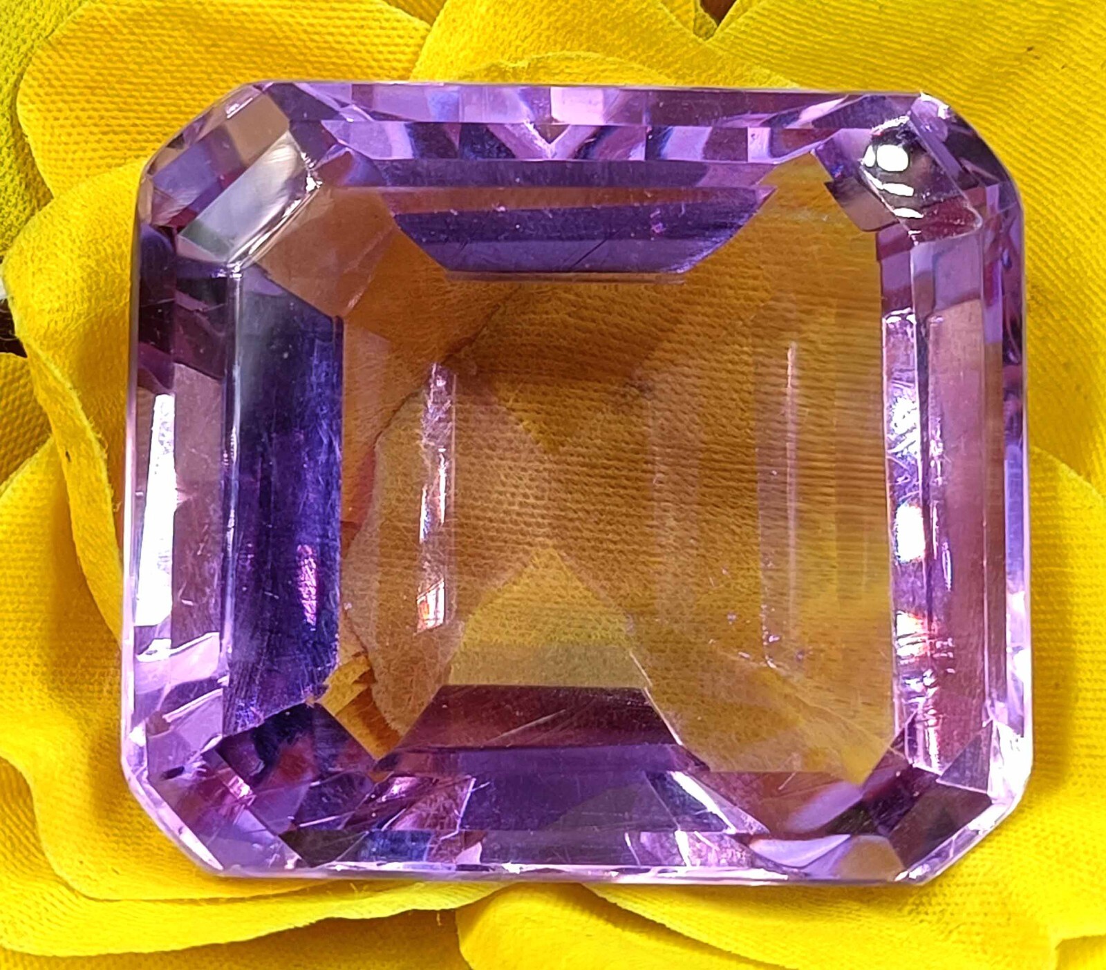 Picture 10 of 13
