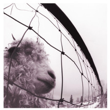 Pearl Jam - VS. Vinyl LP 180 GR Gatefold NEU