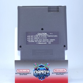 Teenage Mutant Ninja Turtles Authentic, Tested - NES