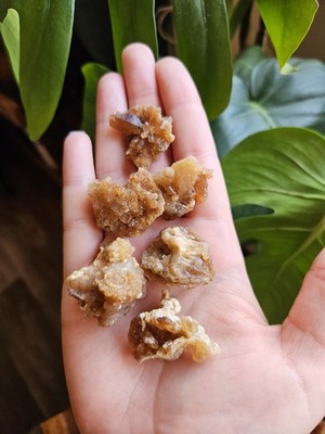 A Grade Rare Moroccan Citrin Small Crystal Mineral Specimen Cluster Point 2-3cm