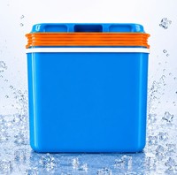 Elektrische KüHlbox 22L Coolbox Thermobox Picknick Camping 22 Liter 12V 230V