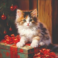 Weihnachten - Cocktail Servietten 25X25 Cm - 3-Lagig - 20 Servietten - Molly