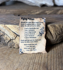 Casa delle bambole fatta a mano miniature strega magica pozione volante grimorio foglio incantesimo