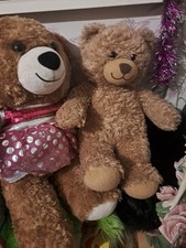 Mieszanka 18 Build a Bears Różne niedźwiedzie