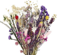 CISDUEO Dried Flowers Bouquet Dried Forget Me Not Natural Lavender Dried Flowers