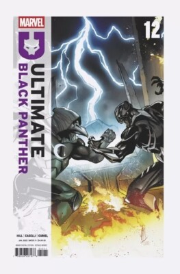 ULTIMATE BLACK PANTHER #12  MARVEL COMICS 2024 NM