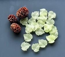Frosted Acrylic Maple Leaf Charms Light Green Pendands Jewelry Making DIY