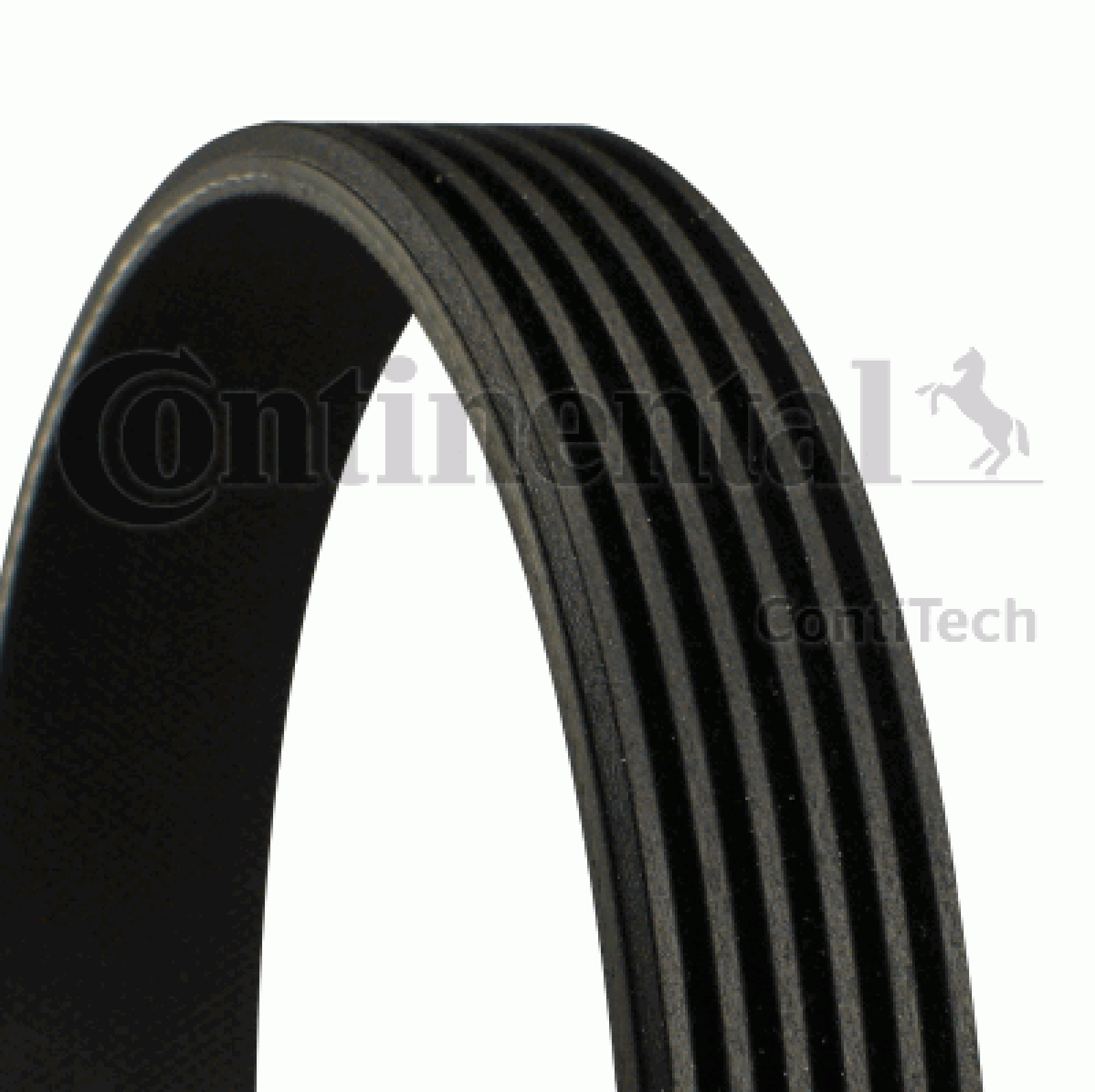 CONTINENTAL CTAM Keilrippenriemen 6PK2257 für MERCEDES SSANGYONG 