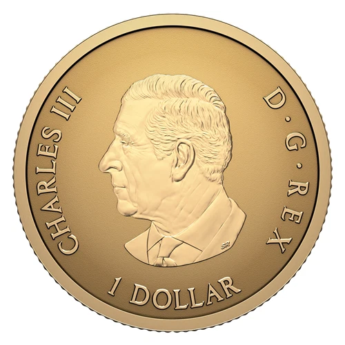 ARBOREAL EMBLEM 2026 CANADA 0.5 gram .9999 Pure 24k GOLD Bullion $1 Coin - Image 4 of 4