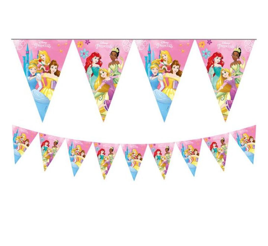 Disney Princess Live Your Story Bunting Birthday Party Bunting Flag Banner