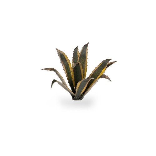 Gamers Grass Laser Plants - Agave - Picture 3 of 4