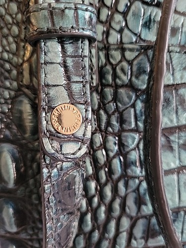 Brahmin Asher Embossed Croc Leather Shoulder Bag Blue Green Metallic Dust Bag - Picture 14 of 16